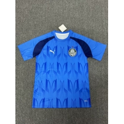 Men 2024 2025 Soccer Jersey Parma Blue